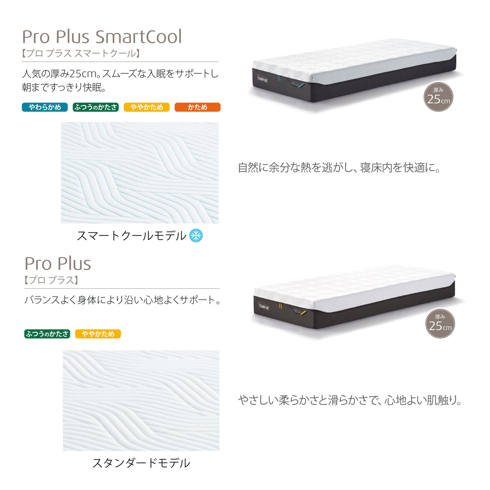 プロ プラスの製品画像